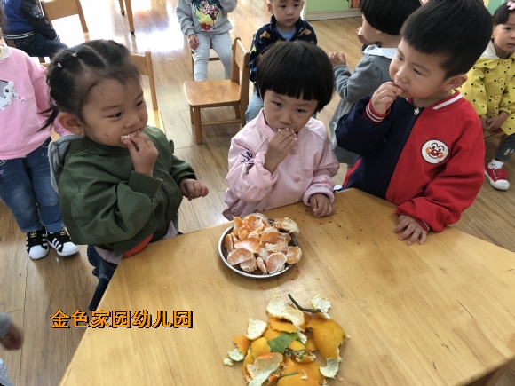 附件：IMG_3188.JPG