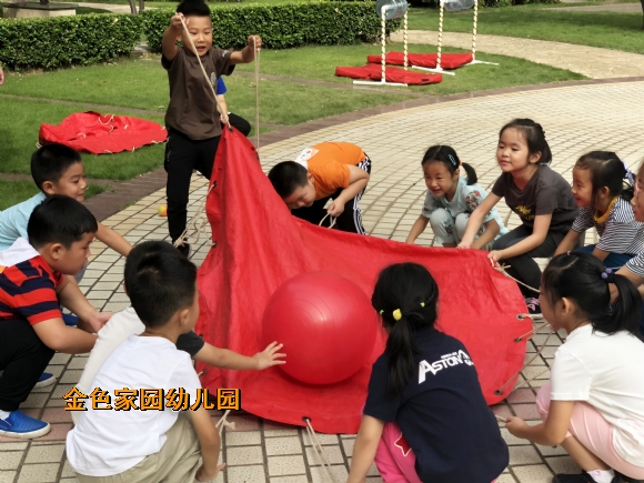 附件：IMG_8293.jpg