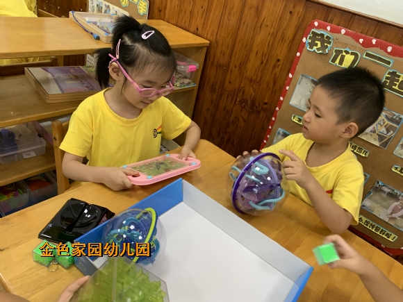 附件：IMG_2638.JPG