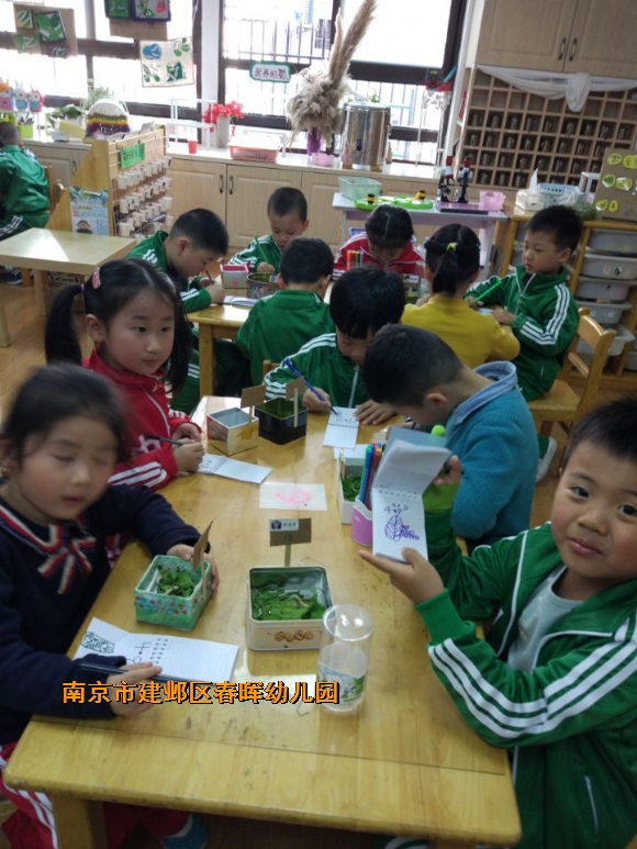 附件：QQ图片20180416111746.jpg