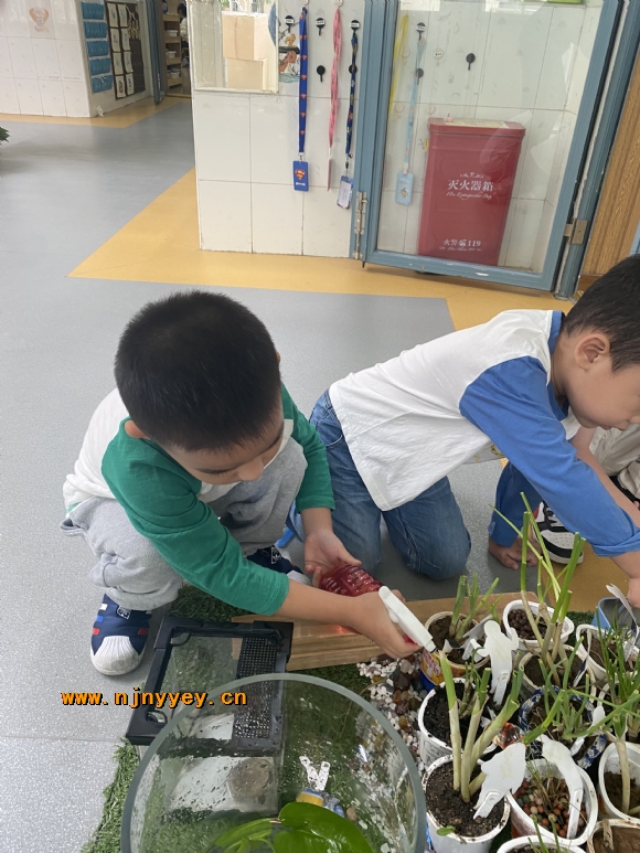 附件：IMG_2018.JPG