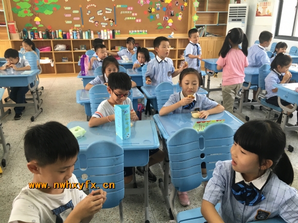 附件：IMG_6060.JPG