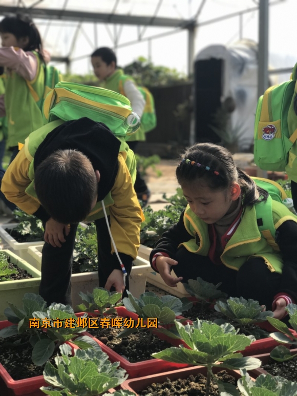 附件：conew_img_6640.jpg