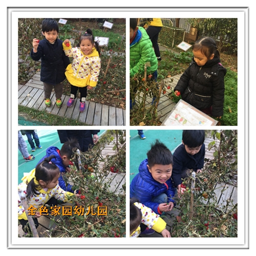 附件：4.jpg