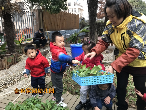 附件：IMG_4320.JPG