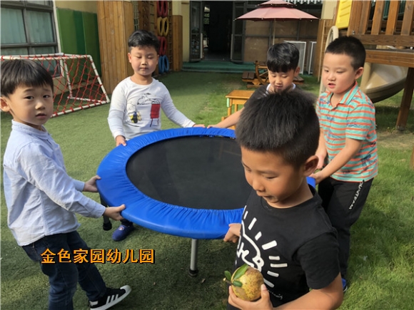 附件：IMG_8176.JPG