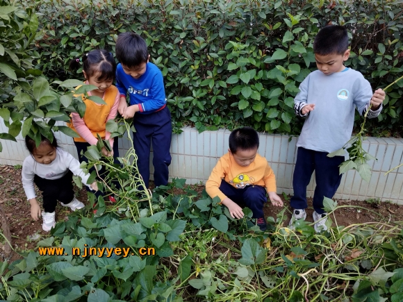 附件：2.jpg
