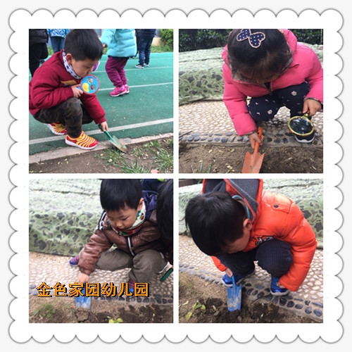 附件：4.jpg