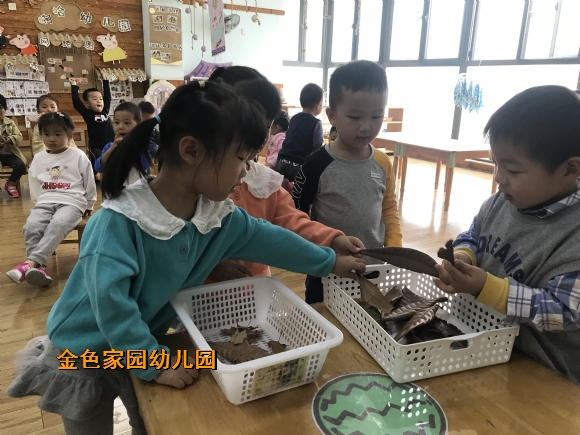附件：IMG_1886.JPG