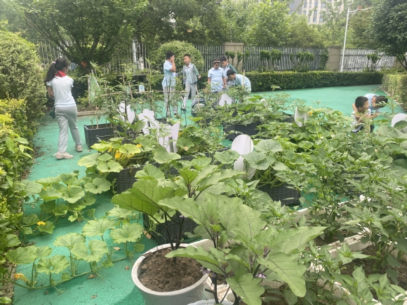 附件：352346EEA53A709BBD58D6A32C01E722.png