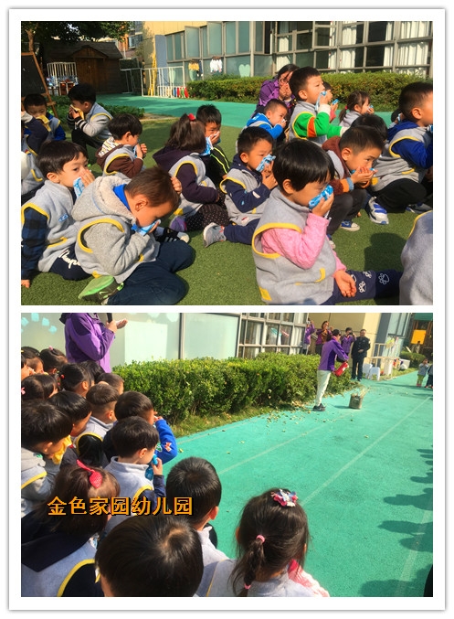 附件：4.jpg