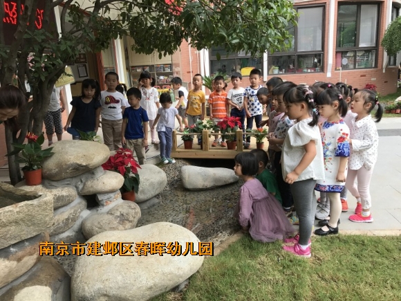 附件：conew_img_3416.jpg