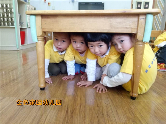 附件：IMG_1648.JPG