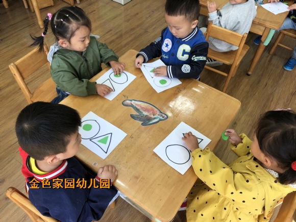 附件：IMG_3174.JPG