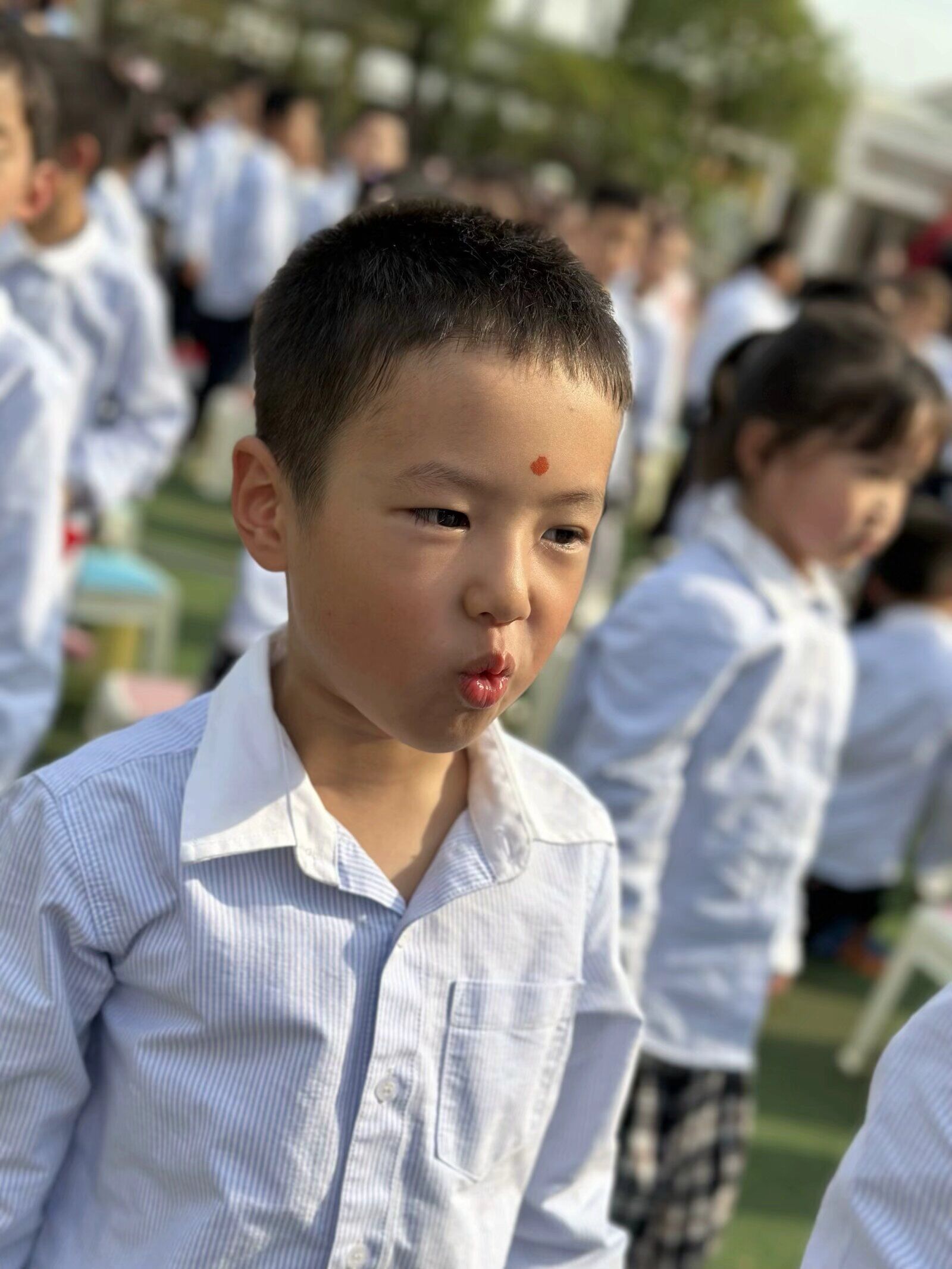 QQ图片20240109081843.jpg