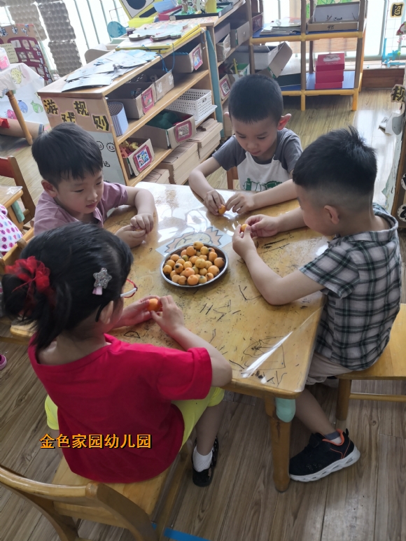 附件：主题墙照片IMG_20190605_155754.jpg