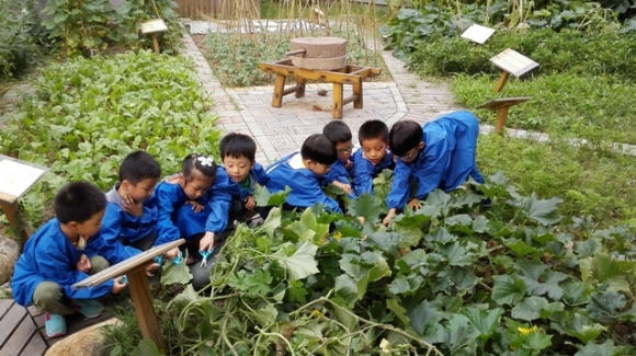 附件：5.jpg
