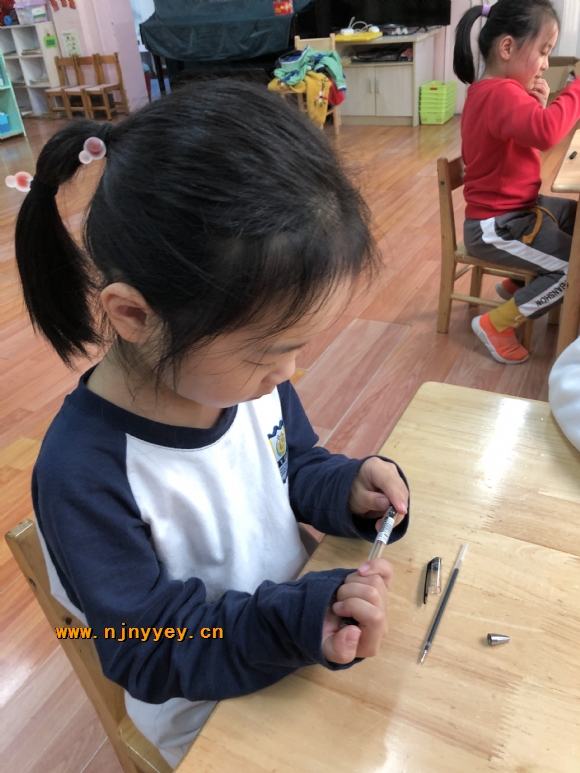 附件：IMG_5081.JPG