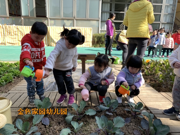 附件：IMG_1996.JPG