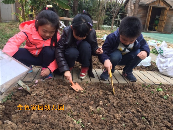 附件：IMG_0304.JPG