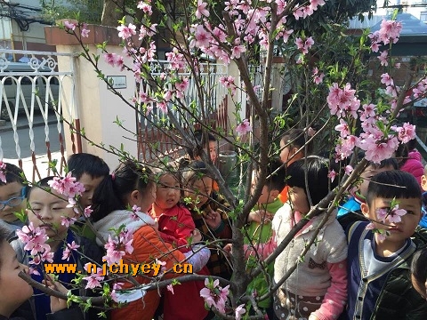 附件：2.jpg