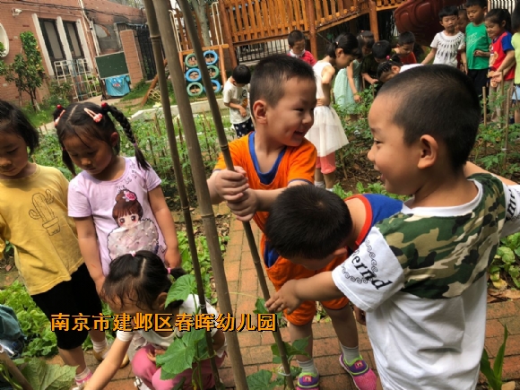 附件：QQ鍥剧墖20180518161300.jpg