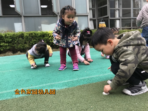 附件：IMG_6978.JPG