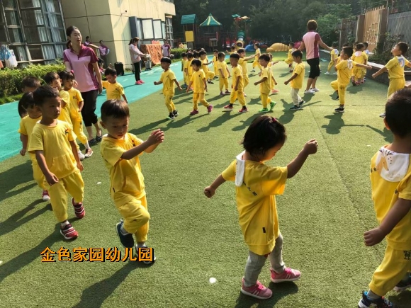 附件：IMG_2319.JPG