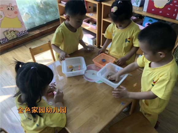 附件：IMG_2813.JPG