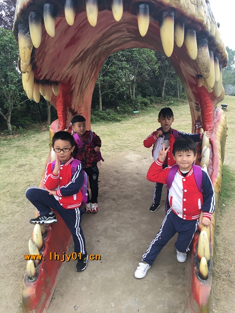 附件：IMG_7955.JPG