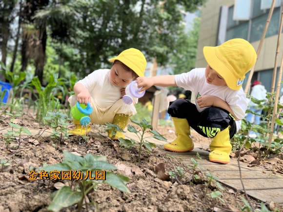 附件:微信图片_20230518090239.jpg 附件:微信图片_20230518090239.jpg