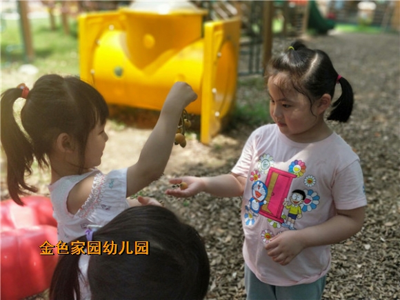 附件：6D0A7CDCA739F342F4BD6C1A4B234B79.jpg