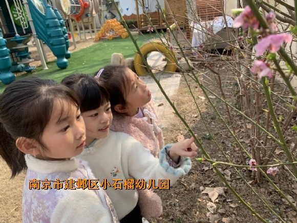 附件：IMG_2030(20230629-115342).JPG
