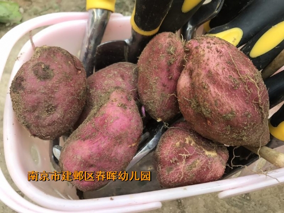 附件：conew_img_3609.jpg
