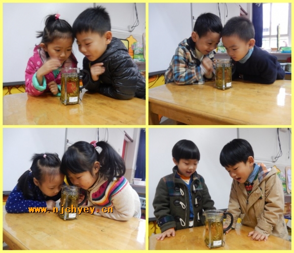 附件:5.jpg 附件:5.jpg