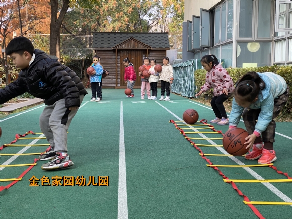 附件：IMG_3250.JPG