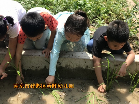 附件：conew_img_6289.jpg
