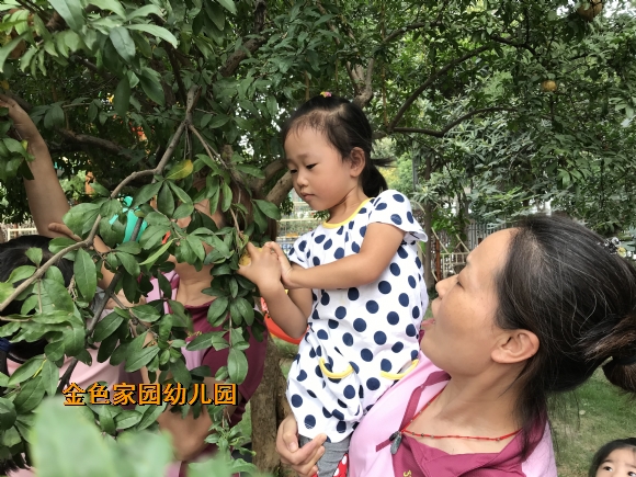 附件：IMG_2493.JPG