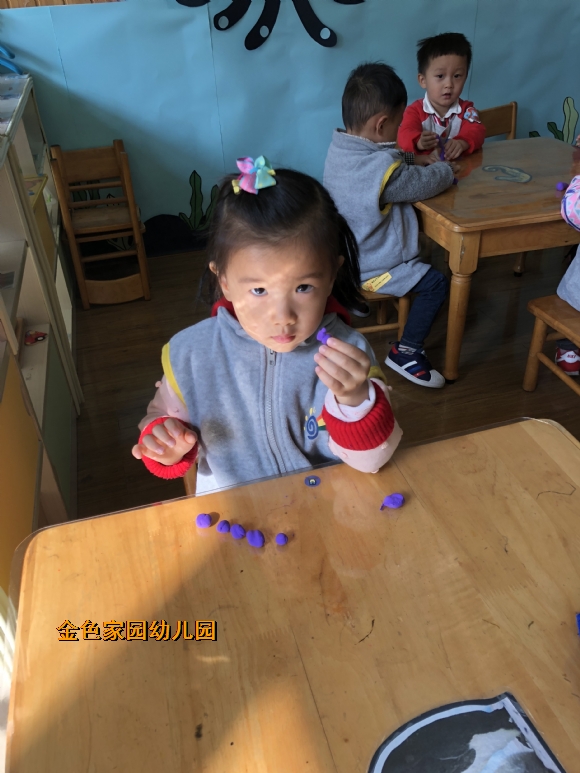 附件：IMG_7240.JPG