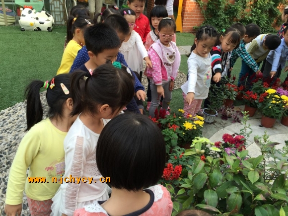 附件：conew_img_1673.jpg