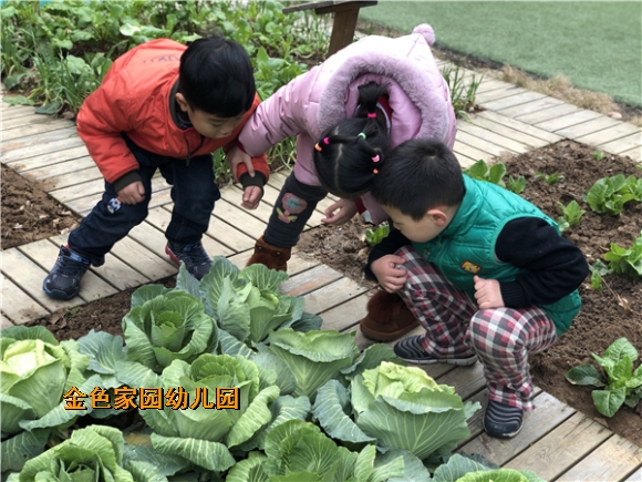 附件：IMG_1319.JPG