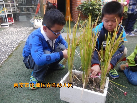 附件：conew_dscn4596.jpg