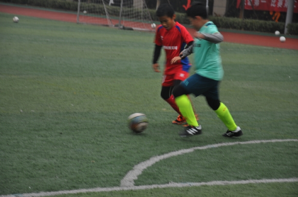 附件：DSC_3924.JPG