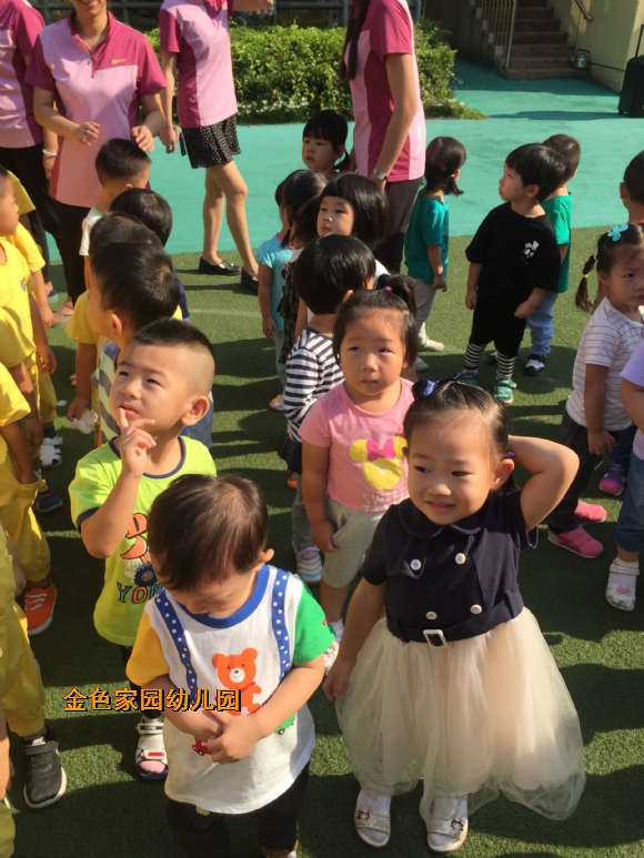 附件：IMG_6211.JPG