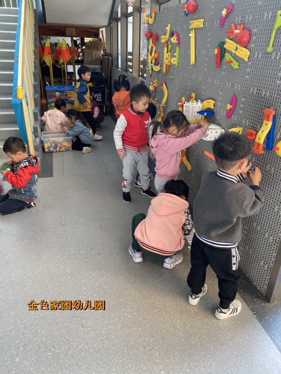 附件：IMG_4972.JPG