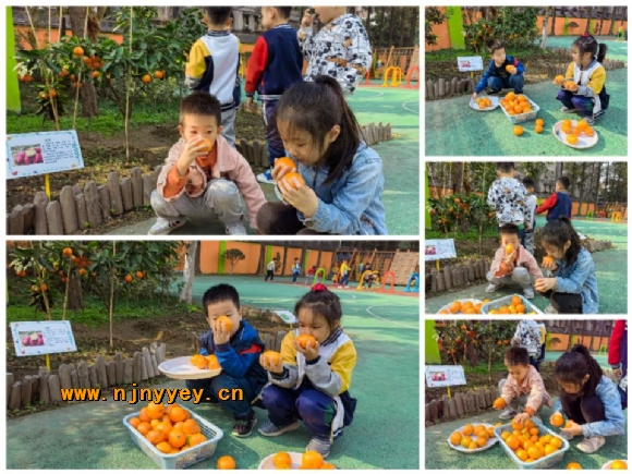 附件：Cache_-6b7acd4668206df7.jpg