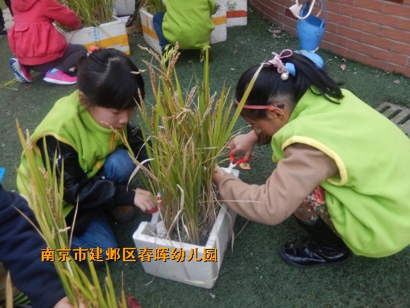 附件：conew_dscn4595.jpg