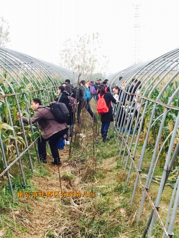 附件：conew_img_6177(20161112-094928).jpg