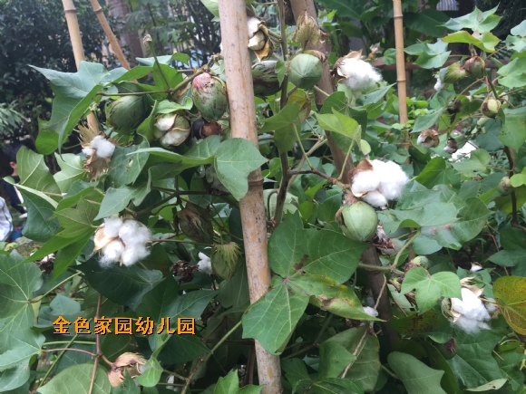 附件：IMG_3003.JPG