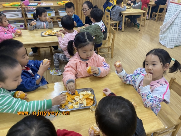 附件：IMG_6809.JPG